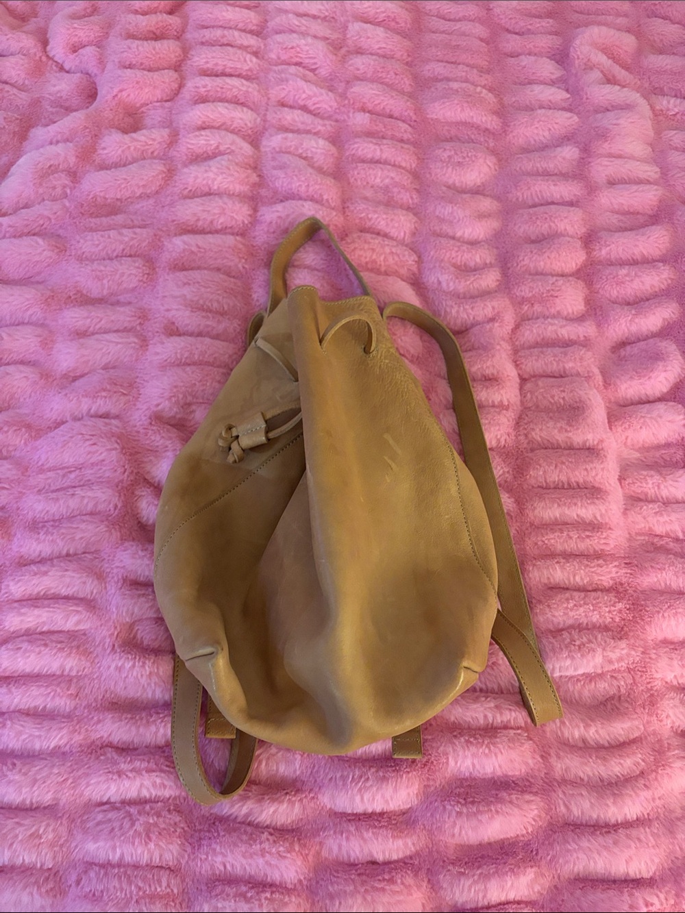 Madewell Tan Leather Drawstring Backpack